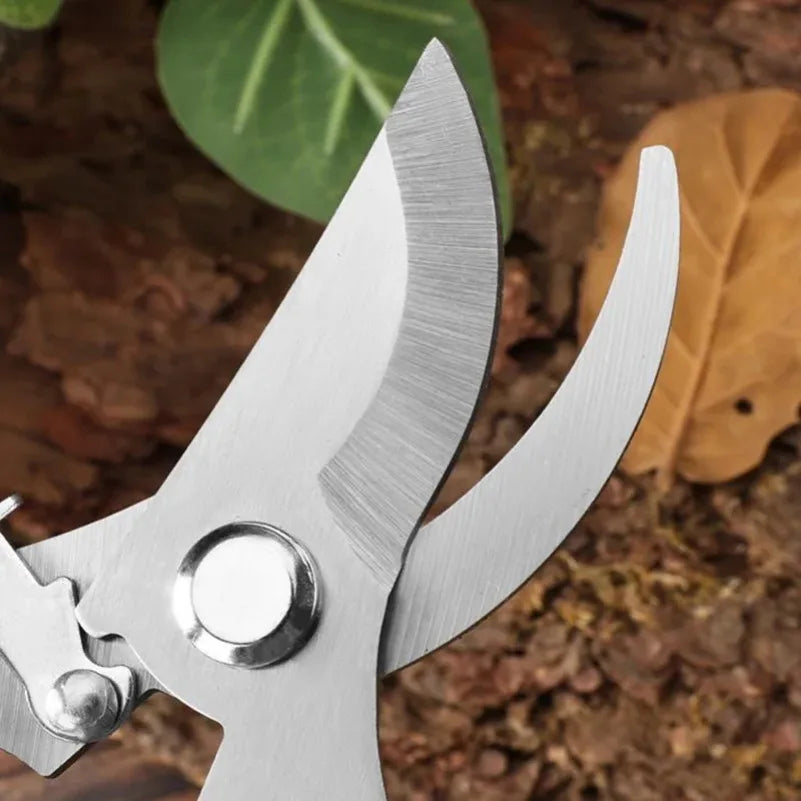 Stainless Steel Pruning Scissors – Flower, Garden & Grafting Pruning Scissors Axl