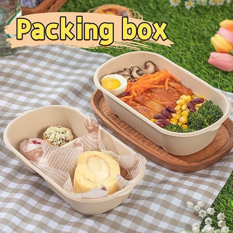 Biodegradable Sugarcane Lunch Boxes | 10/50 Pack, 4 Sizes Disposable Food Containers Axl