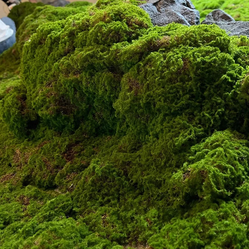 Artificial Moss Mat – Faux Lawn for Bonsai & Micro Landscape Artificial Moss Mat Axl