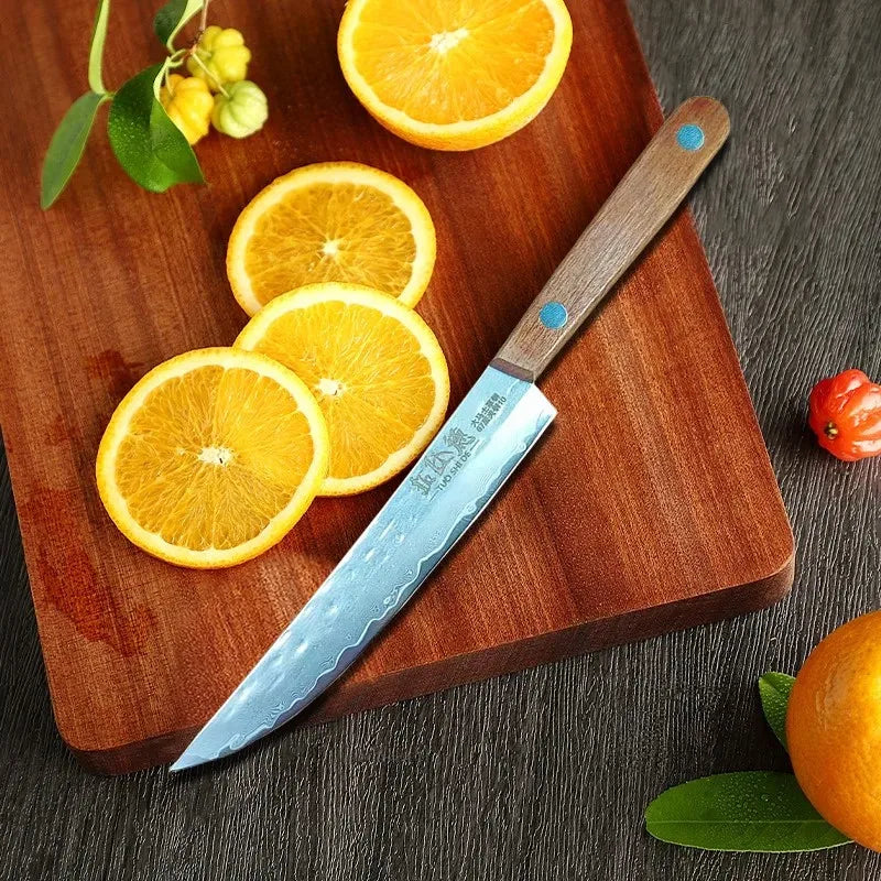 67-Ply Damascus Steel Steak & Boning Knife – Wood Handle Damascus Kitchen Knife Axl