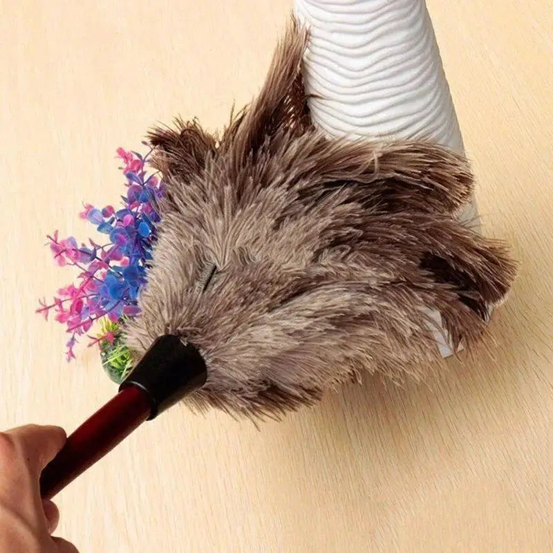 Anti-Static Ostrich Feather Duster with Wooden Handle Feather Duster Axl