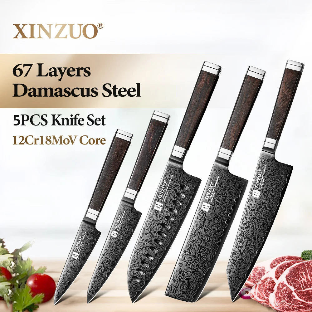 XINZUO 5-Piece 67-Layer Damascus Steel Kitchen Knife Set Damascus Knife Set Axl
