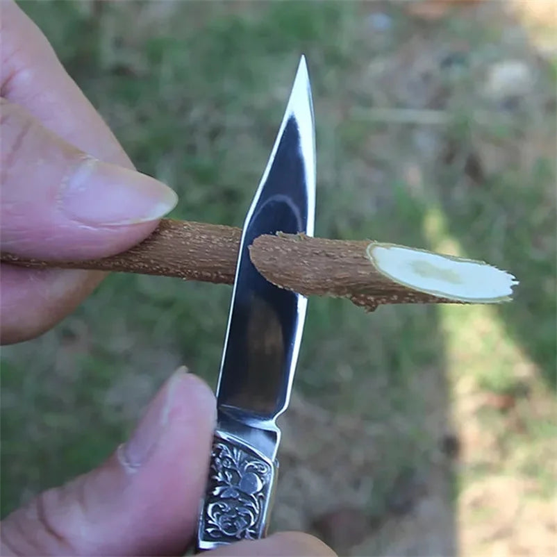 Folding Paring Knife Stainless Steel – Portable Kitchen Knife Folding Paring Knife Axl