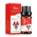 18 Scents Water-Soluble Essential Oil Set for Diffuser – 10ml Fragrance Oil Set Axl Rose