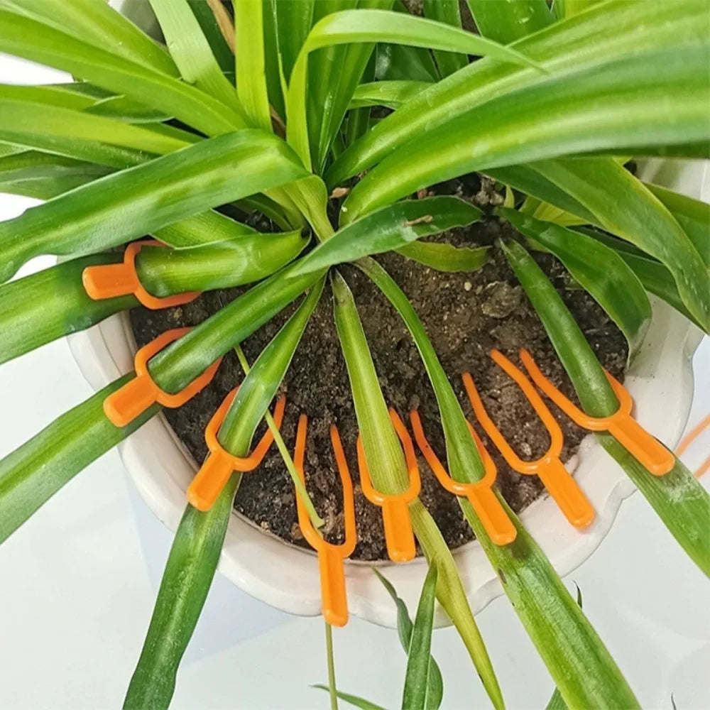 50-Pack Plastic Plant Clips – Stem & Seedling Support Clips Plant Support Clips Axl