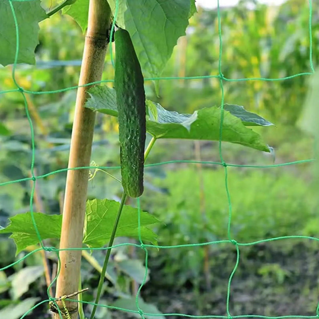 Heavy Duty Plant Trellis Climbing Net – Cucumber & Tomato Garden Trellis Netting Axl