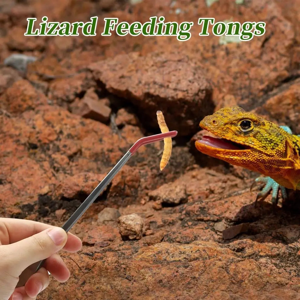 27cm Reptile Feeding Tongs – Stainless Steel & Rubber Tips Reptile Feeding Tongs Axl
