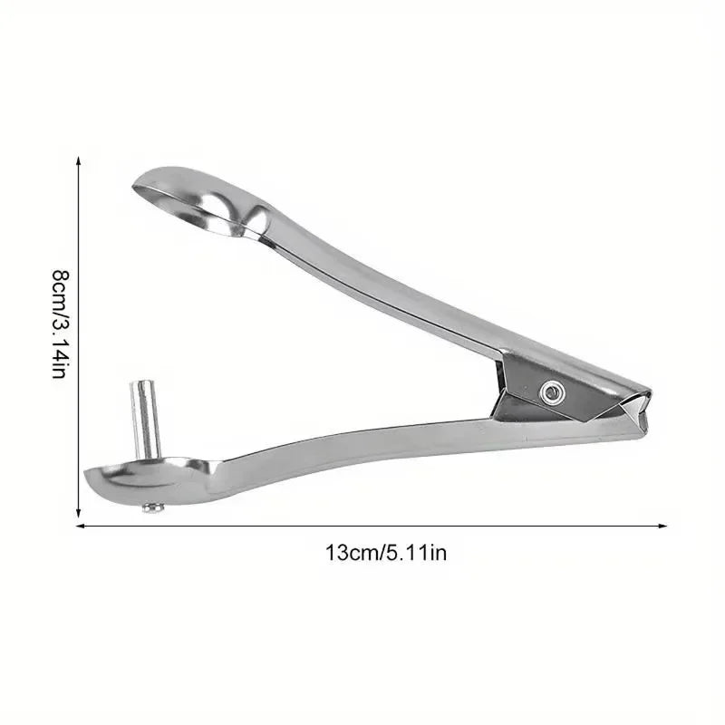 Cherry & Olive Pitter Tool – Stainless Steel Pit Remover Fruit Pitter Tool Axl