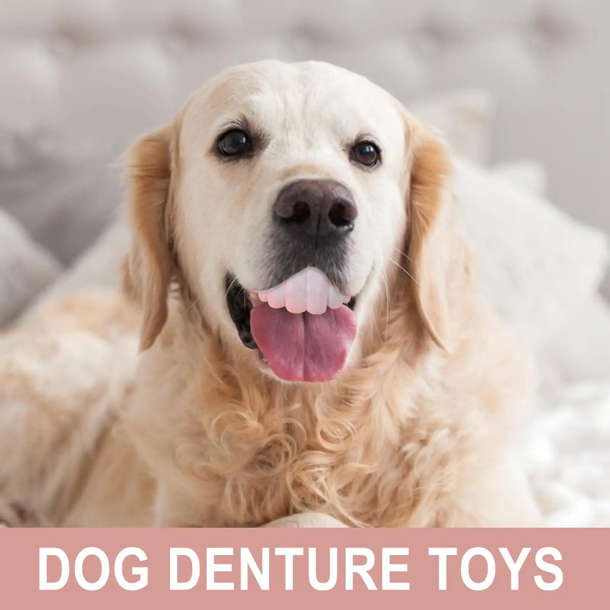Silicone Funny Fake Teeth Dog Toy – Costume & Photo Prop Dog Costume Toy Axl