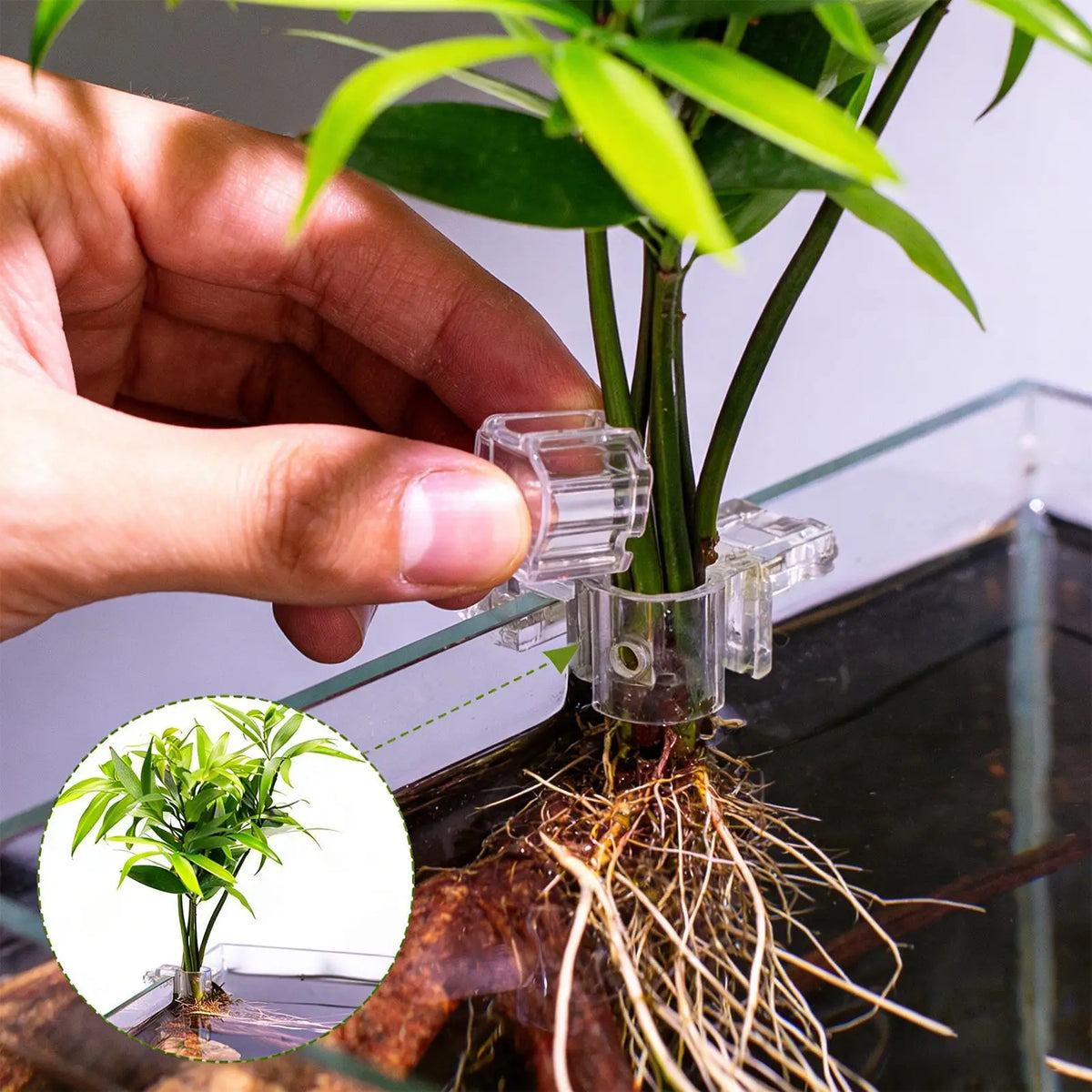 Aquarium Plant Holder 6-Pack – Clear Hangable Fish Tank Brackets Aquarium Plant Holder Axl