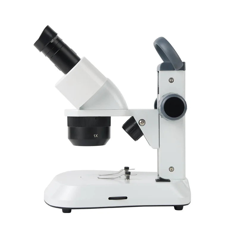 Stereoscopic Microscope 10X 20X 40X Oblique LED Light Stereoscopic Microscope Axl 10x 20x 40x
