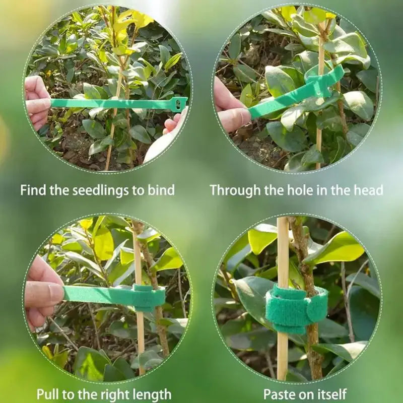 Reusable Nylon Plant Ties Hook Loop – 50/100/200 Pcs Garden Garden Plant Ties Axl