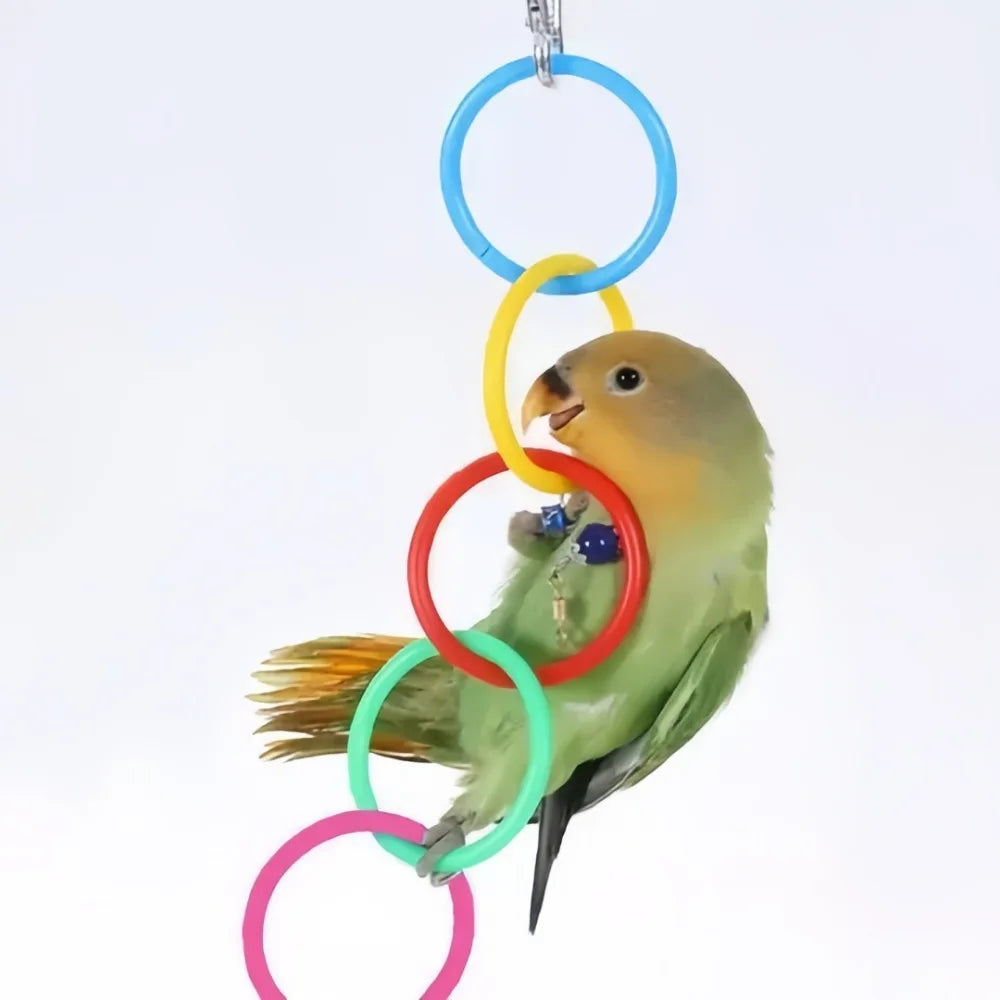 Colorful Hanging Ring Toy for Birds – Cage Swing & Climb Bird Cage Toy Axl