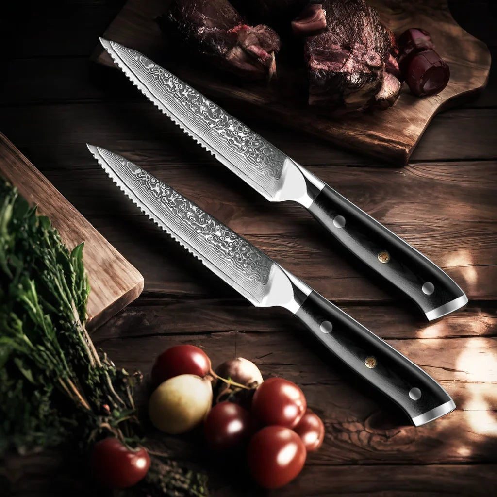 4-Piece Damascus Steel Steak Knife Set | 67-Layer G10 Handle Steak Knife Set Axl