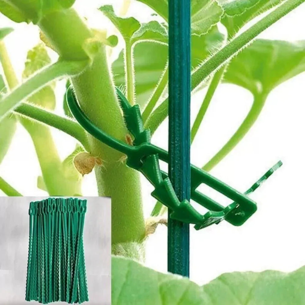 30pc Reusable Plant Twist Ties – Adjustable Stem Support Garden Twist Ties Axl