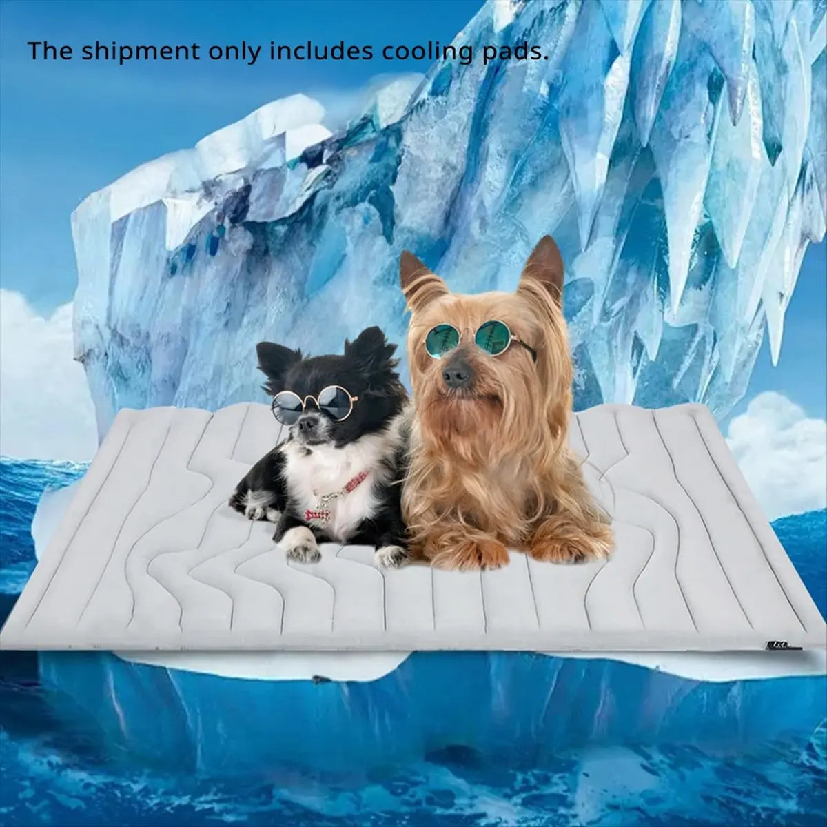 XL Reversible Dog Cooling & Warming Mat – 59x40 Inch Pet Pad Pet Cooling Mat Axl