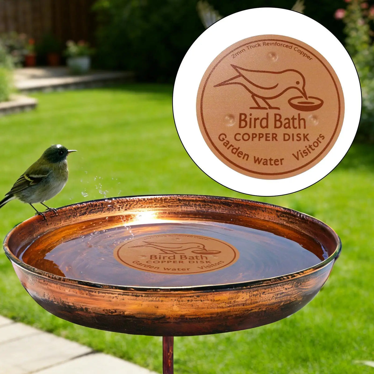 Copper Bird Bath Purification Disk – Natural Water Clarifier Bird Bath Accessory Axl