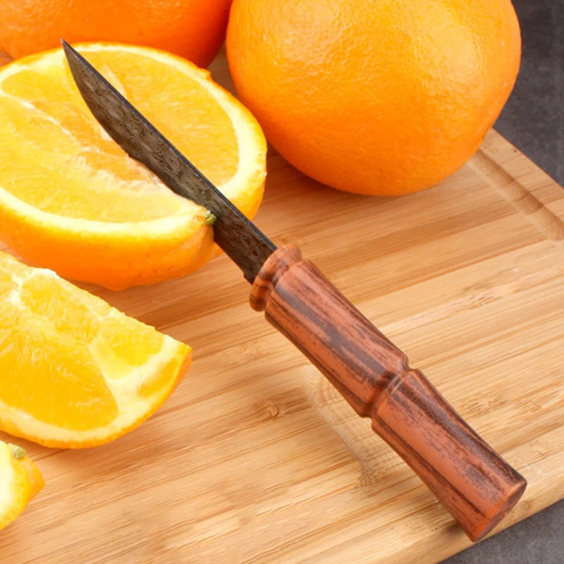 Damascus Pattern Utility Knife – Stainless Steel Paring Knife Utility Kitchen Knife Axl