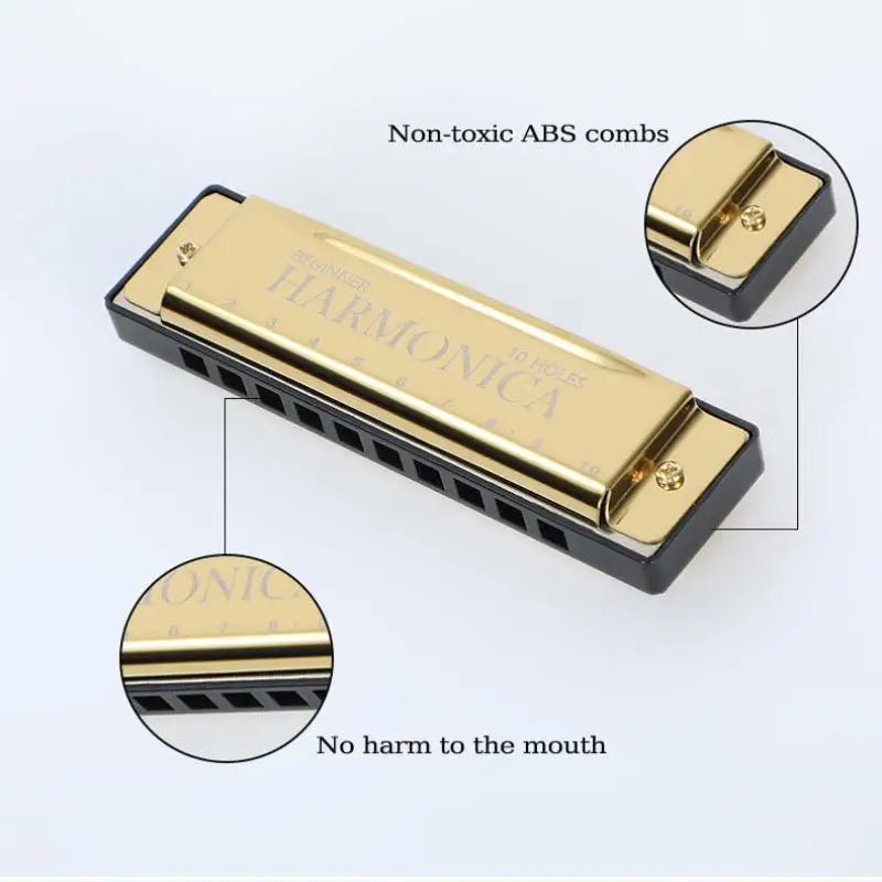 10-Hole Harmonica Key of C with Case | Beginner Gift Beginner Harmonica Axl