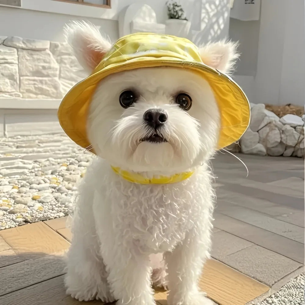 Dog Sun Hat – Breathable Polyester Cap for Small & Medium Dogs Dog Sun Hat Axl