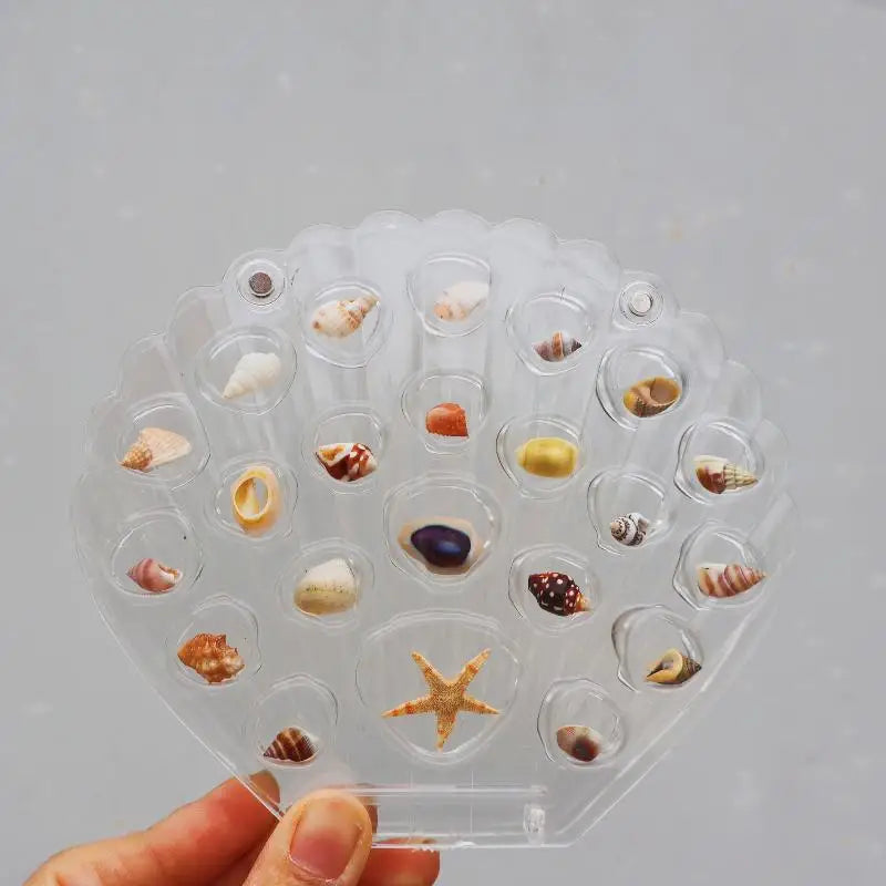 Clear Acrylic Seashell Display Box – Magnetic Shell Organizer Display Storage Box Axl