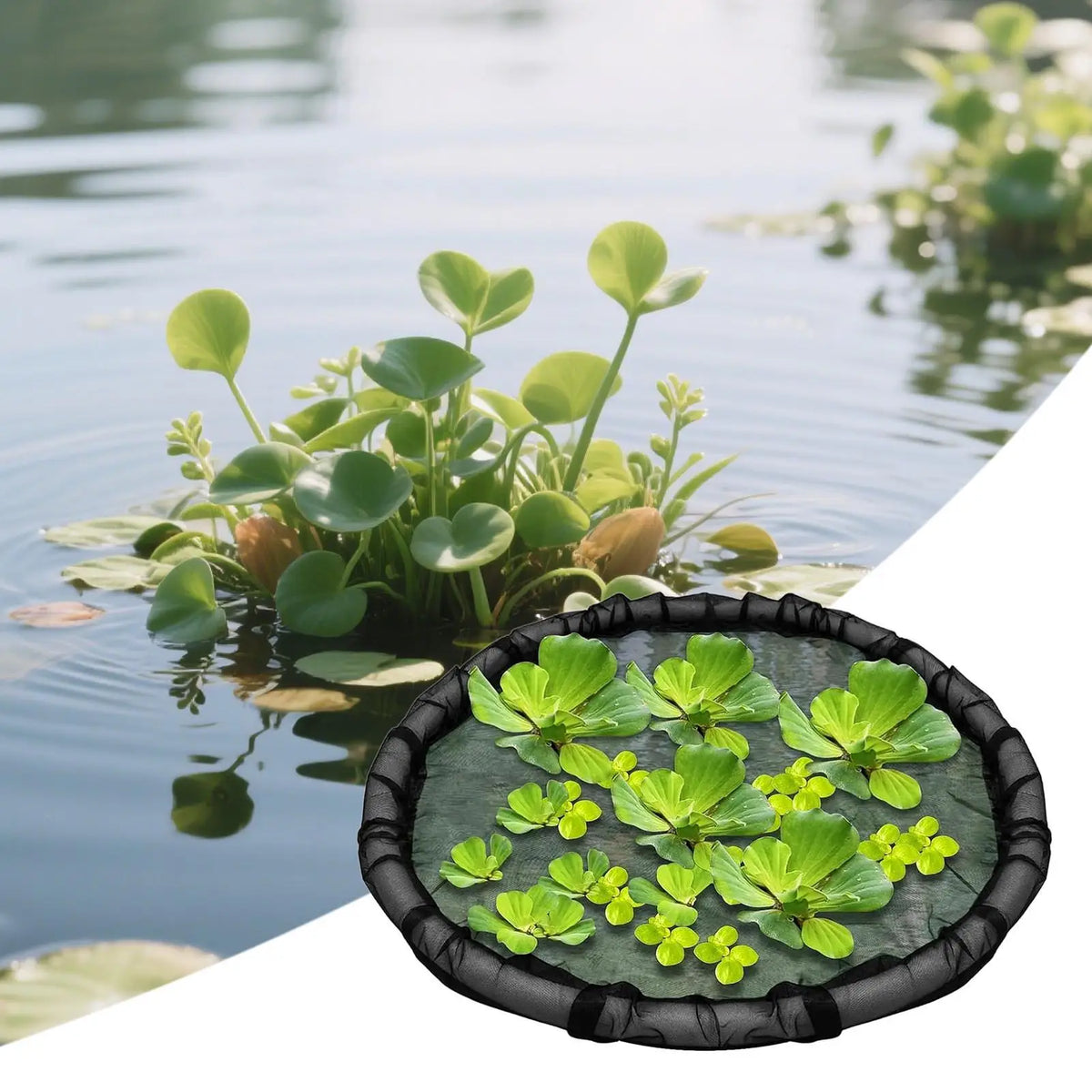 Floating Plant Barrier – Round Fine Mesh Fish Guard for Ponds Pond Plant Barrier Axl Default Title