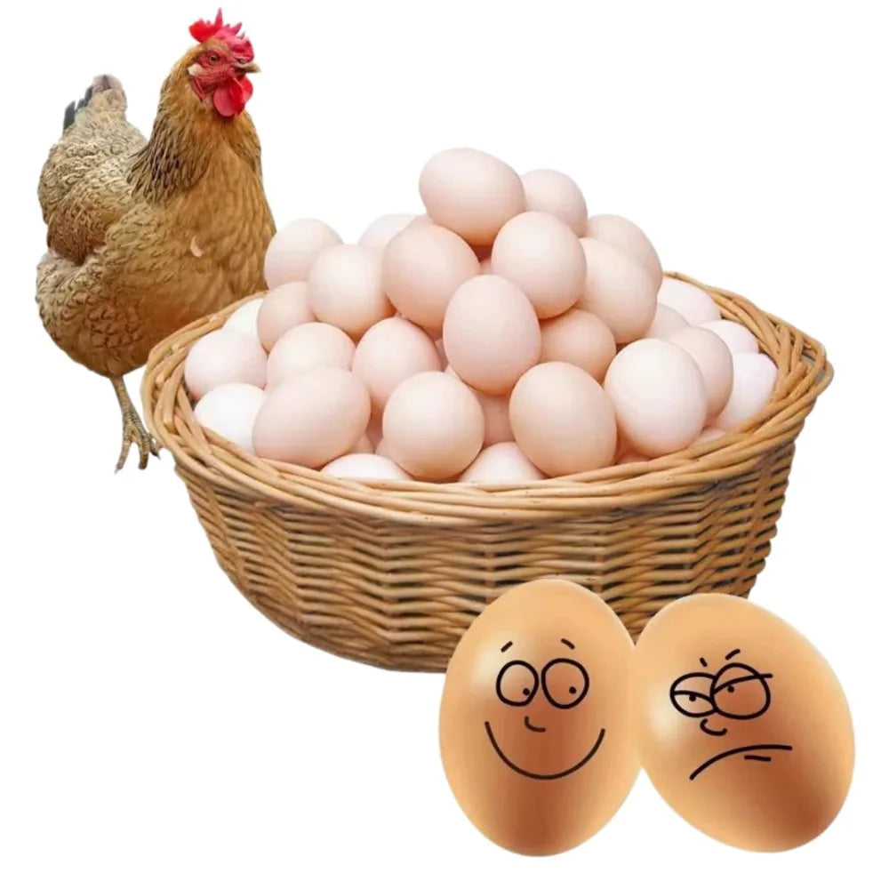 5-Pack Plastic Fake Nest Eggs – Encourage Hens to Lay Poultry Nest Eggs Axl