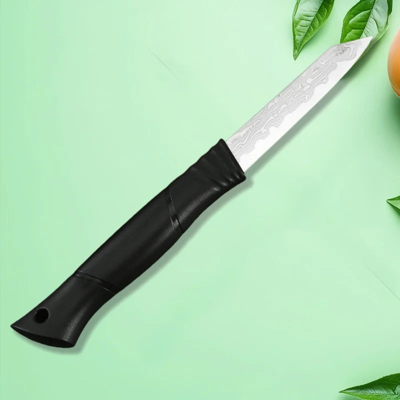 Damascus Paring Knife 67-Layer VG10 Steel – Fruit & Veg Knife Damascus Paring Knife Axl