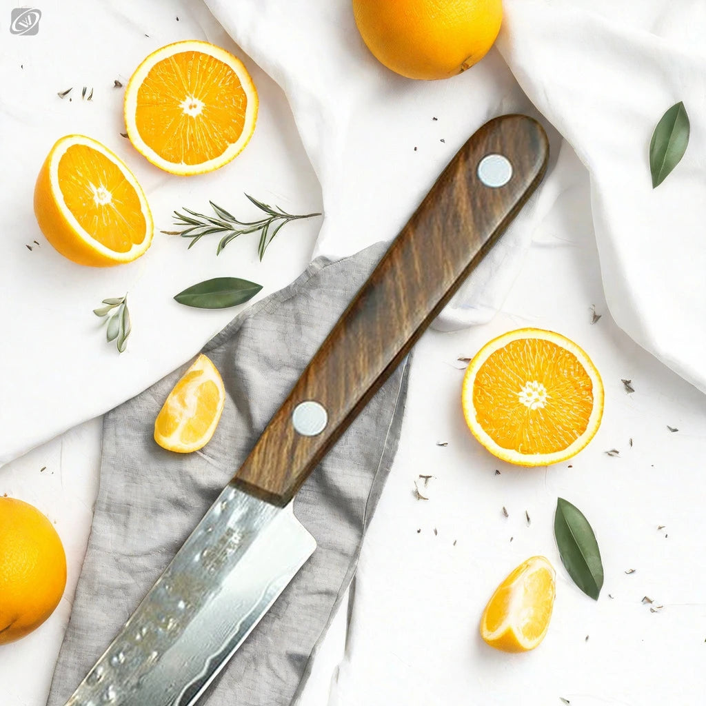 67-Layer Damascus Steel Fruit Knife – Sharp, Solid Wood Handle Damascus Kitchen Knife Axl