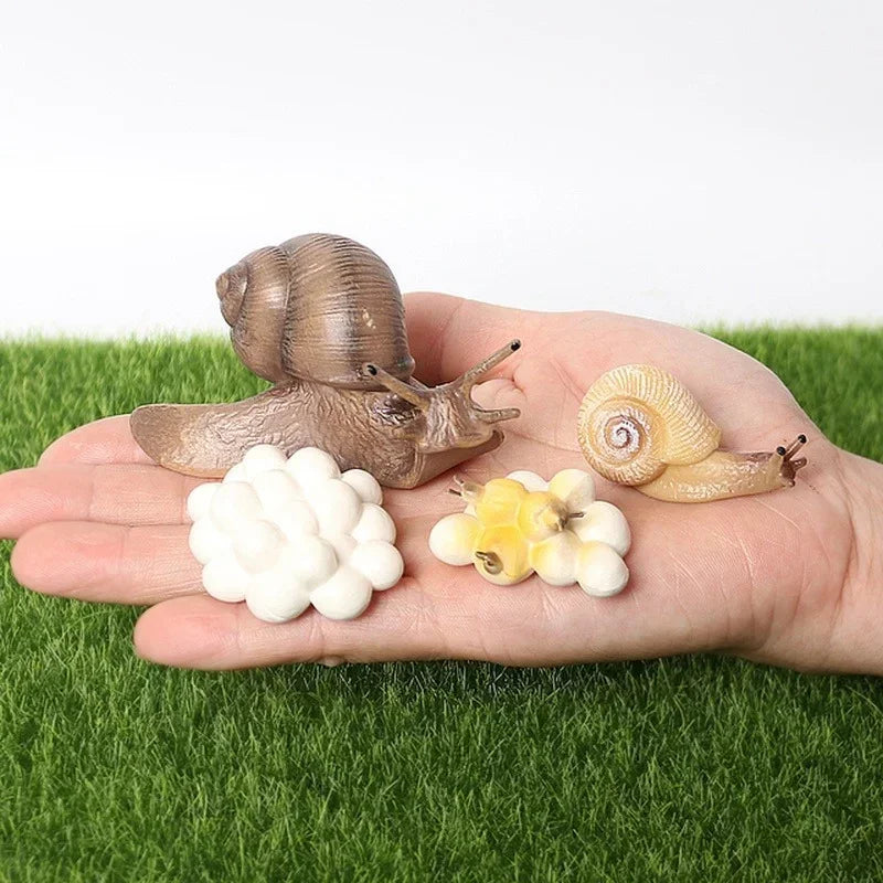 Realistic PVC Snail Animal Model | Kawaii Miniature Garden Decor Miniature Animal Figurine Axl