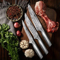 PLYS Japanese Chef Knife – Sharp Stainless Steel Kitchen Knife Chef Knife Axl 3PCS