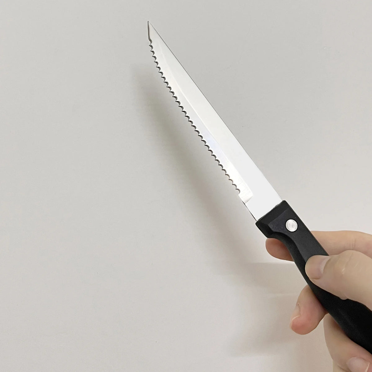 Steak Knives Set 4–12 Pc | Serrated Stainless Steel BBQ Knife Steak Knife Set Axl