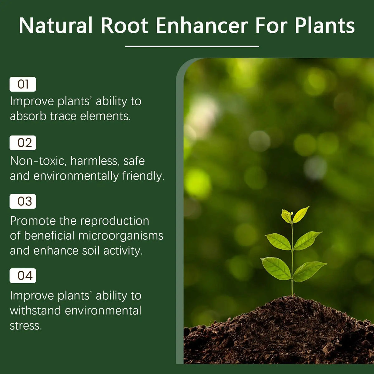 Plant Growth Enhancer Powder 100g – Root & Nutrient Fertilizer Plant Fertilizer Powder Axl
