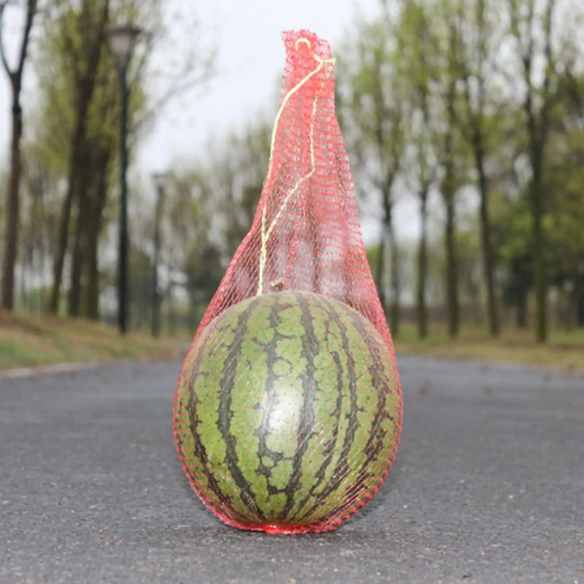 100 PCS Watermelon Net Bags – Drawstring Mesh Hammock Cradles Garden Fruit Net Bags Axl