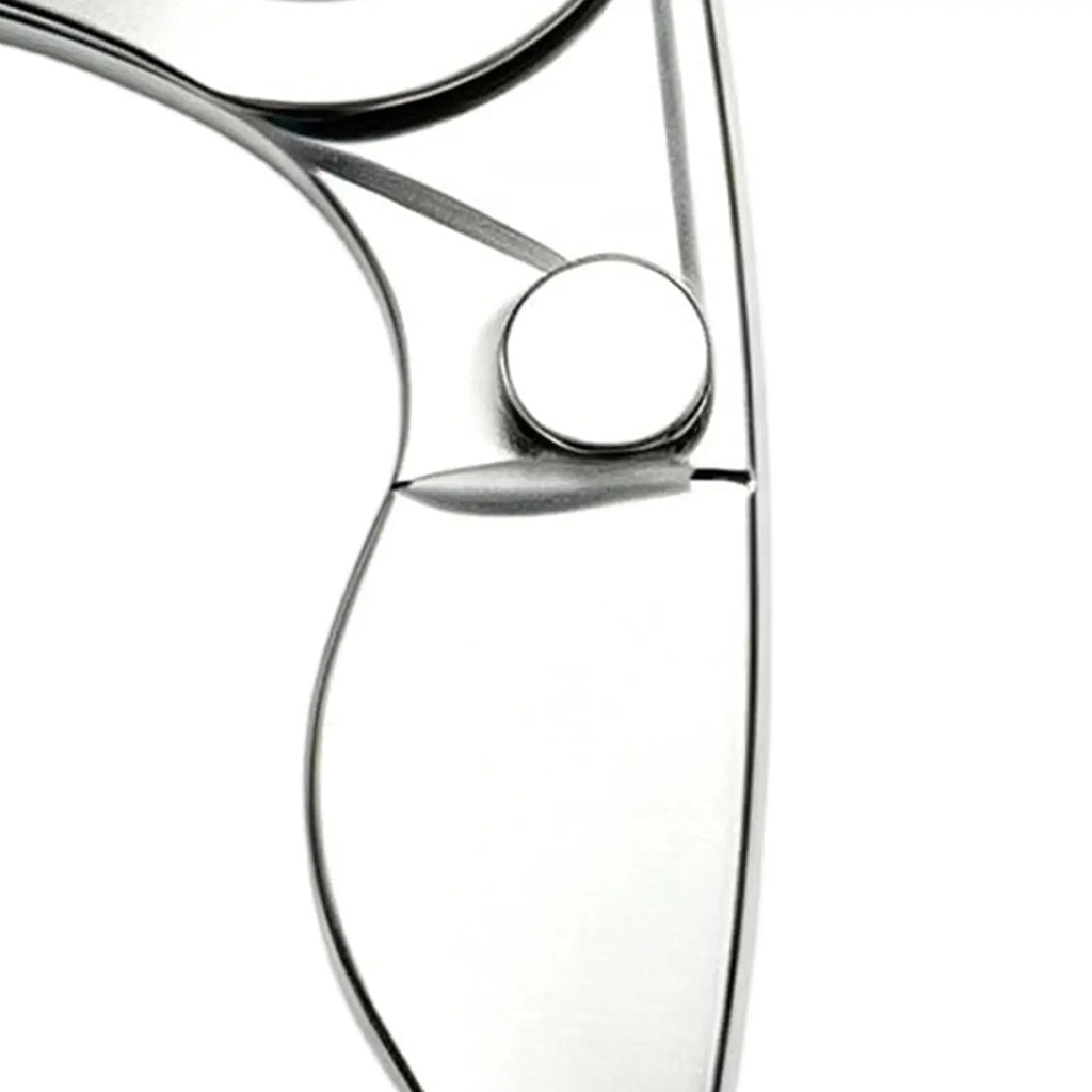 Reusable Stainless Steel Floss Picks – Refillable Metal Flosser Dental Floss Pick Axl