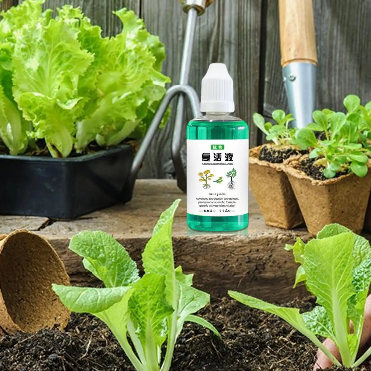 Plant Root Booster Liquid 50ml – Fast Growth Nutrient Solution Plant Root Fertilizer Axl