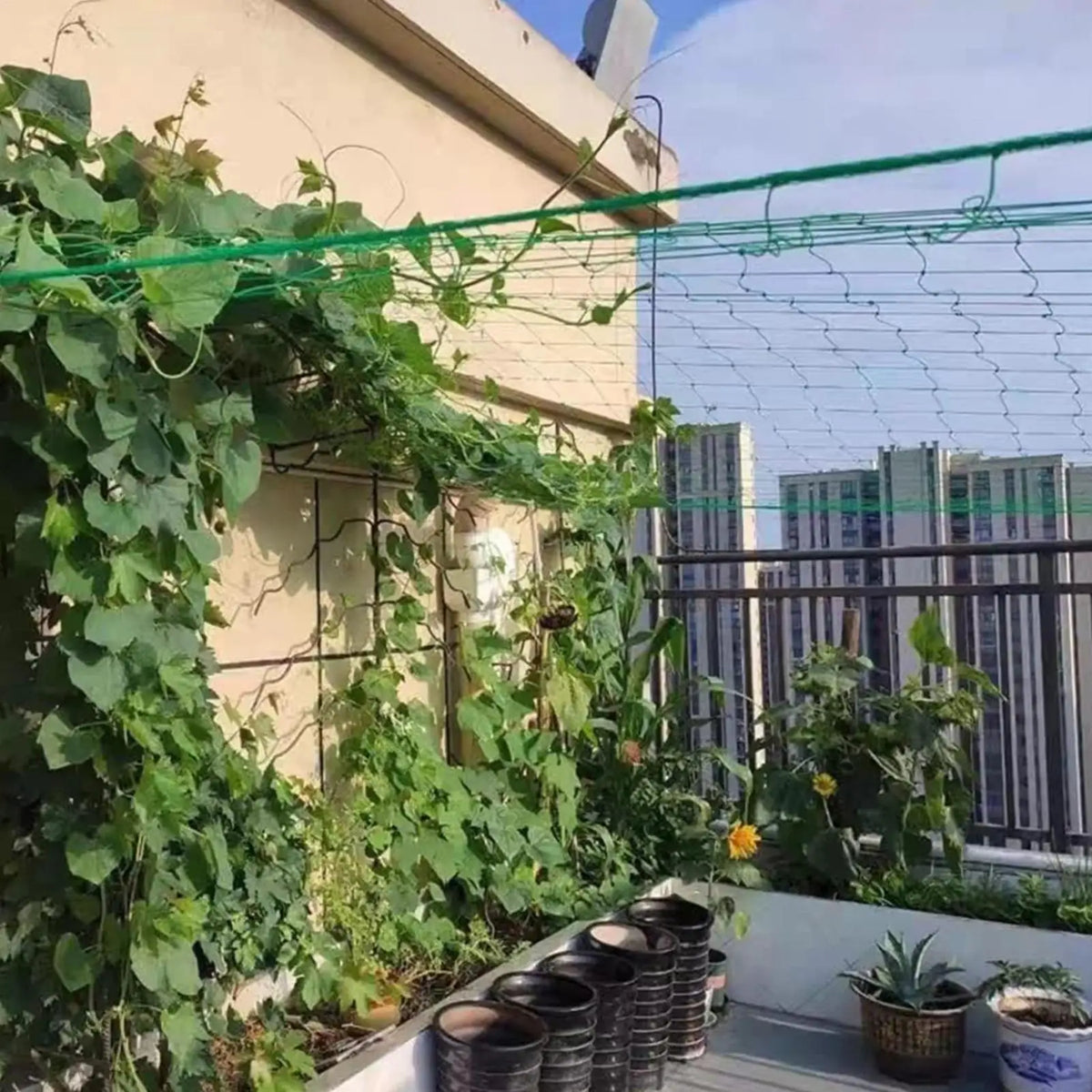 Heavy Duty Plant Trellis Climbing Net – Cucumber & Tomato Garden Trellis Netting Axl