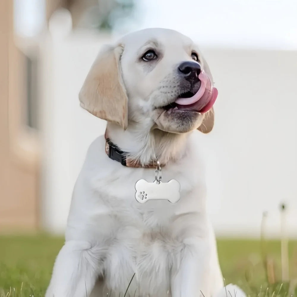 Personalized Bone-Style Stainless Steel Dog Name Tag | Pet ID Pet ID Tag Axl