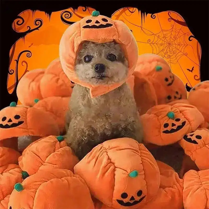 Pet Halloween Pumpkin Hat – Plush Costume for Cats & Dogs Pet Costume Hat Axl