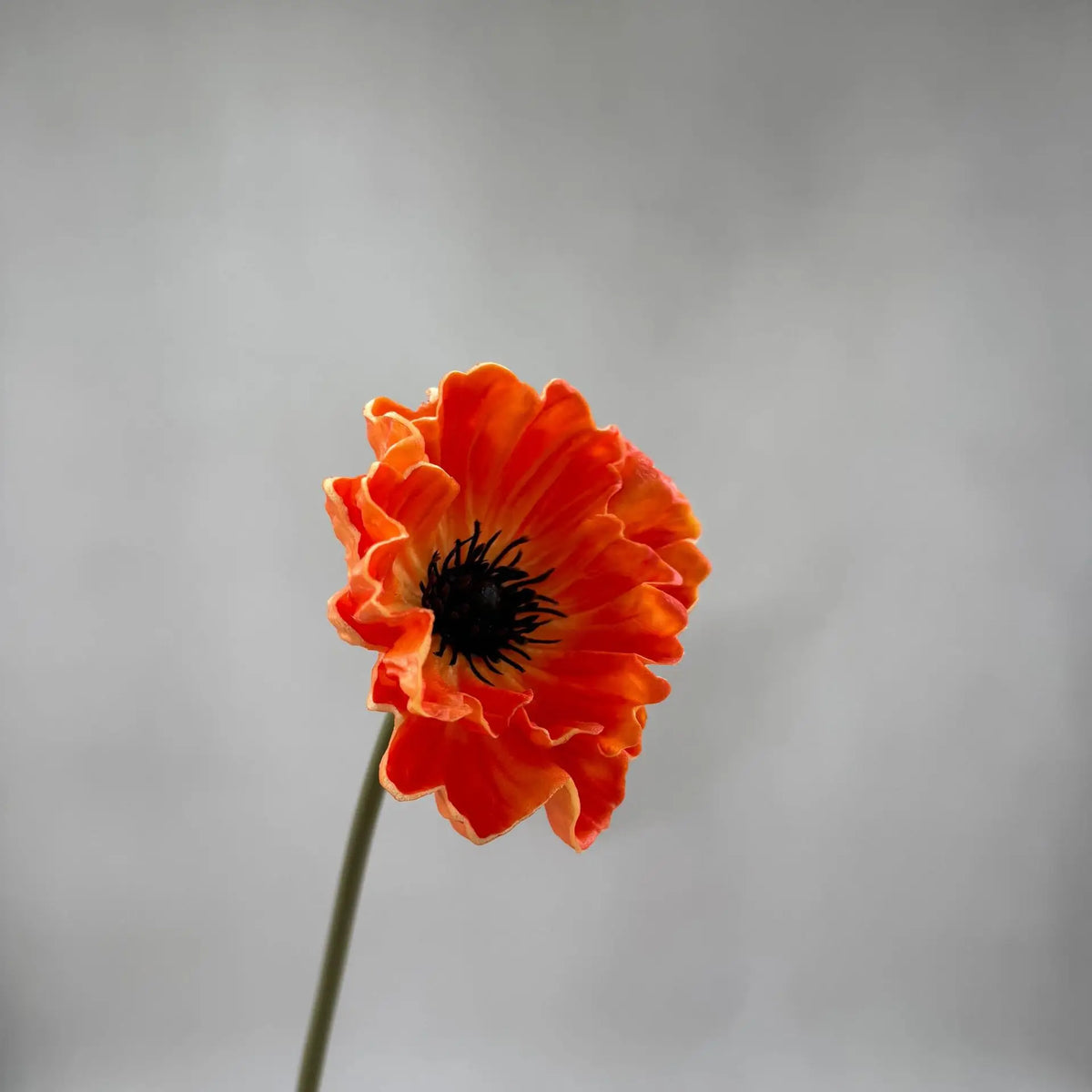 10 PU Poppy Artificial Flower Stems 39cm – Wedding & Home Decor Artificial Flower Stems Axl orange