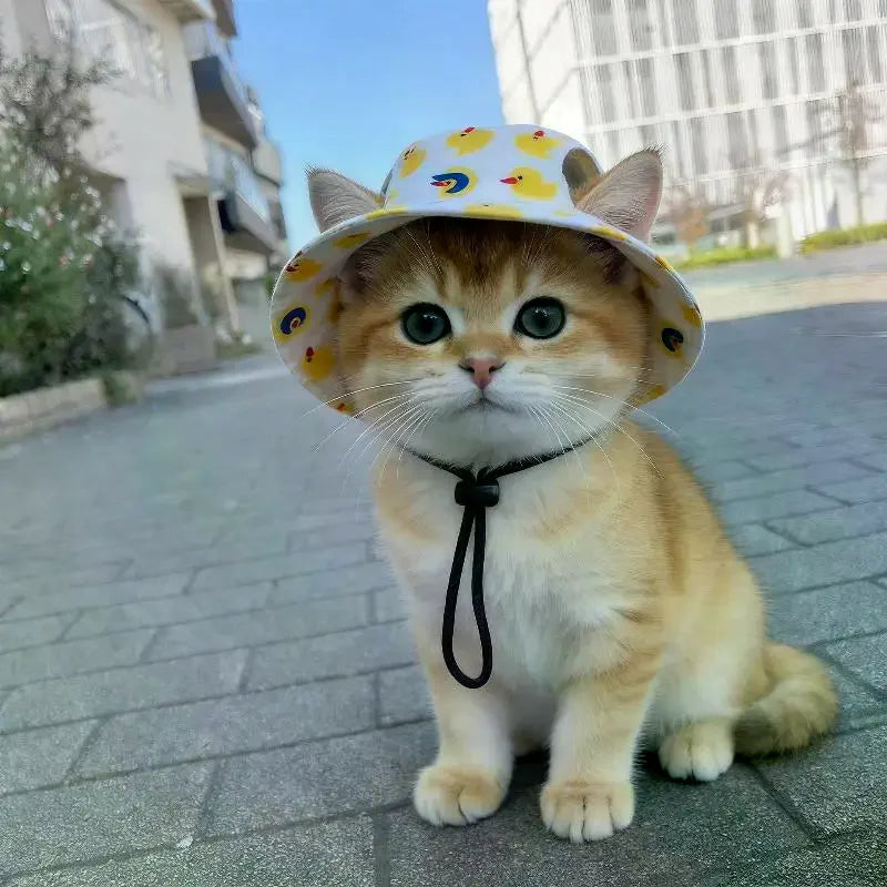 Pet Cowboy Hat with Ear Holes | Sun Hat for Cats & Small Dogs Pet Hat Accessory Axl