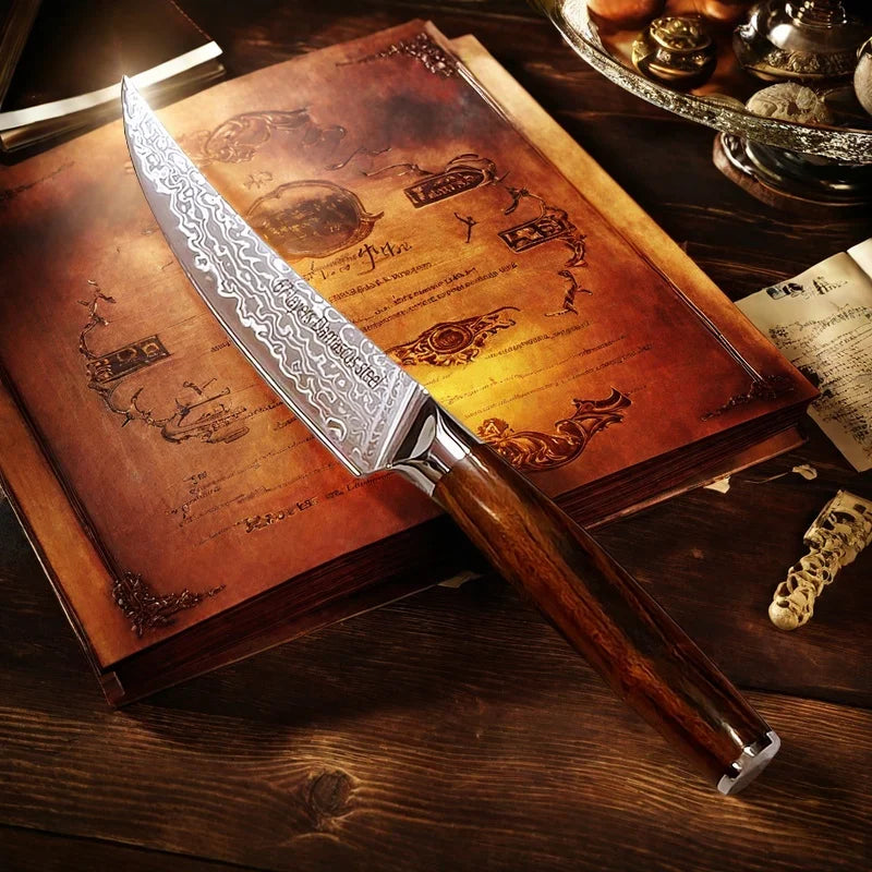 Damascus Steel VG10 Steak Knife – 67-Layer Ebony Handle Damascus Kitchen Knife Axl