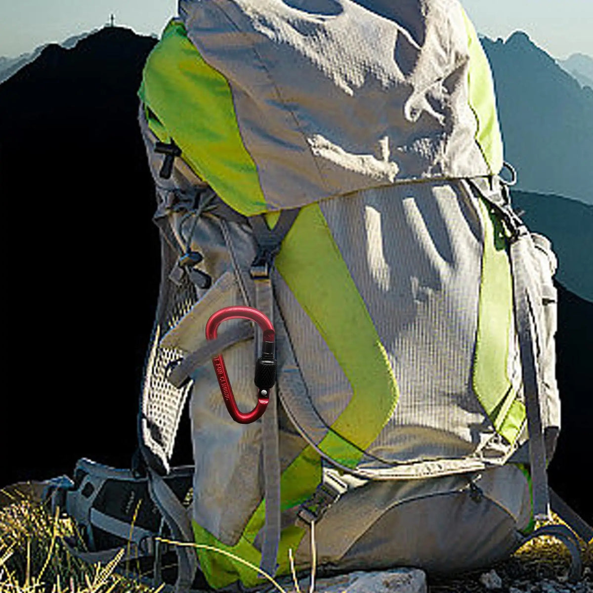 Aluminum Alloy D-Shape Locking Carabiner – Camping Hook Locking Carabiner Axl