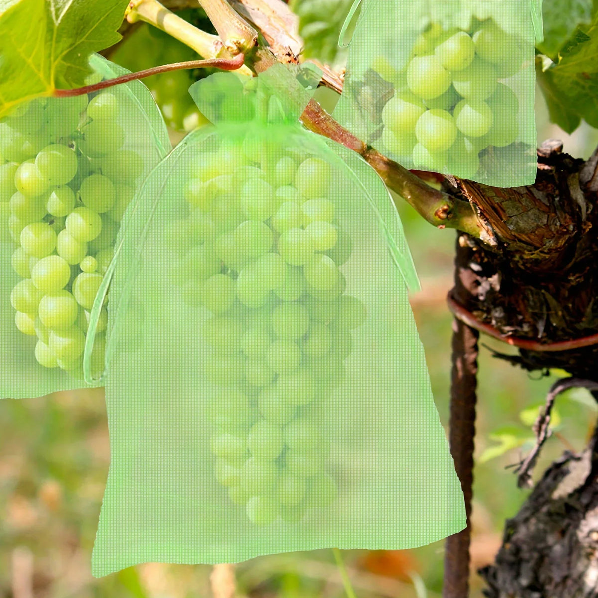 10-Pack Fruit Protection Netting Bags | Garden Mesh Barrier Garden Netting Bags Axl