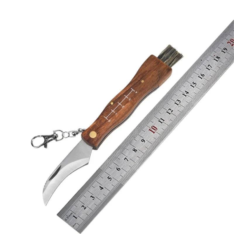 Mini Folding Mushroom Knife – Stainless Steel & Rosewood Handle Folding Pocket Knife Axl Sharp edge China Mainland