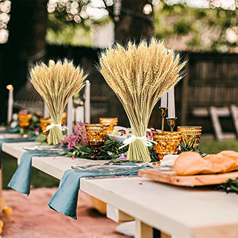 Dried Wheat Stalks 50/100/200 PCS – Natural Boho Home Decor Dried Flower Stems Axl