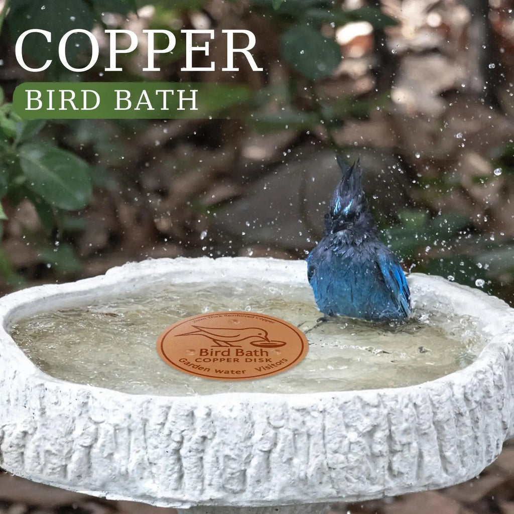 Copper Bird Bath Purification Disk – Natural Water Clarifier Bird Bath Accessory Axl
