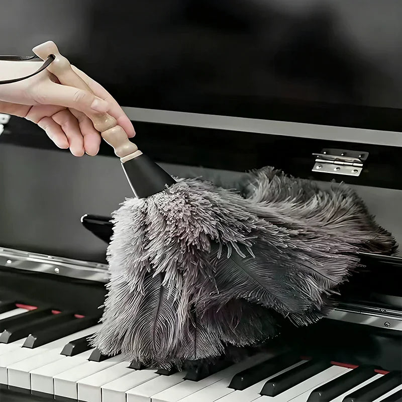Natural Ostrich Feather Duster with Wooden Handle | Home Cleaning Feather Duster Axl