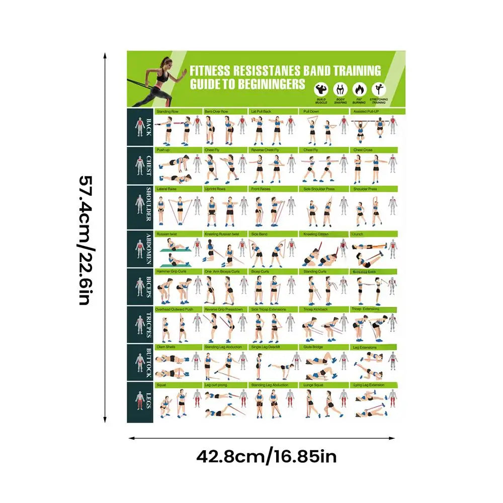 Resistance Band Workout Poster – Home Gym Exercise Wall Chart Gym Exercise Poster Axl AS show