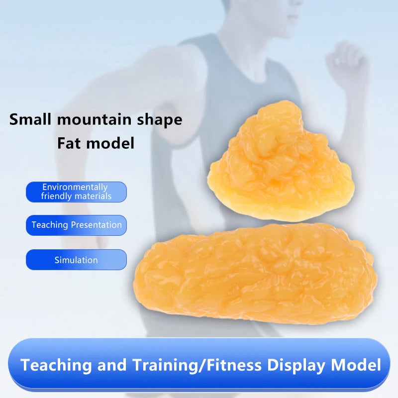 1 lb Human Fat Tissue Replica Model – Silicone Anatomy Demo Anatomical Model Axl